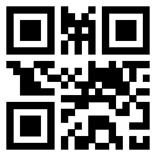 Il Qr Code di 3306493980