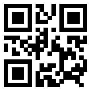 3306493987 - Immagine del QrCode