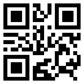 3306494007 - Immagine del QrCode