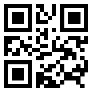 3306494041 - Immagine del QrCode