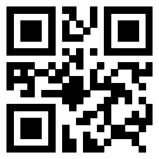 3306494045 QrCode associato