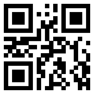 3306494053 - Immagine del QrCode