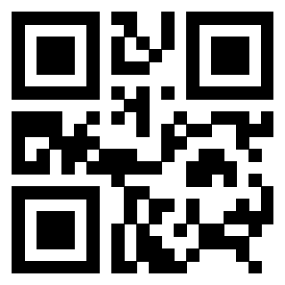 Il Qr Code di 3306494213