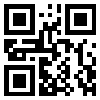 QrCode di 3306494281
