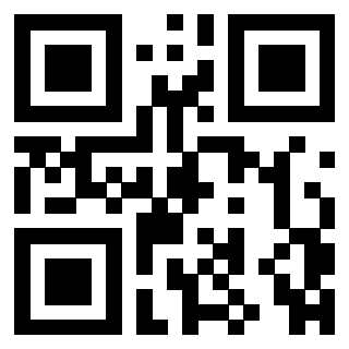 QrCode di 3306494289