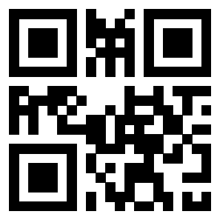 QrCode di 3306494307