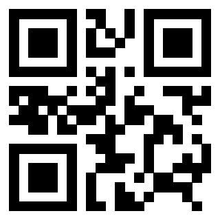 3306494317 - Immagine del Qr Code associato