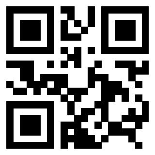 QrCode di 3306494385