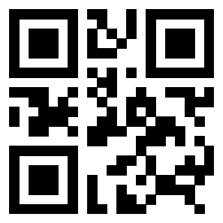 3306494509 - Immagine del Qr Code associato