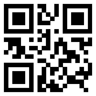 QrCode di 3306494559