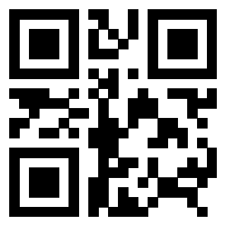 Il Qr Code di 3306494593