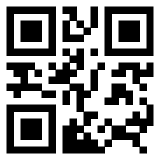 Il Qr Code di 3306494642