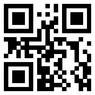 3306494666 - Immagine del QrCode
