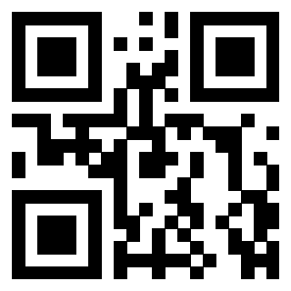 3306494687 - Immagine del QrCode