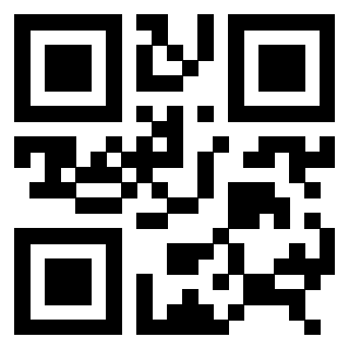 3306494691 Qr Code associato