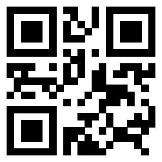 Il Qr Code di 3306494729