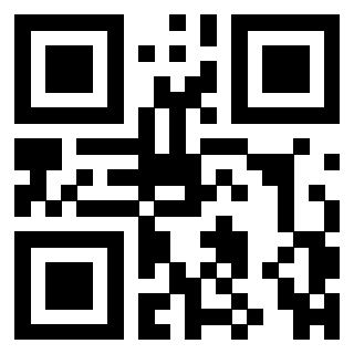 QrCode di 3306494743