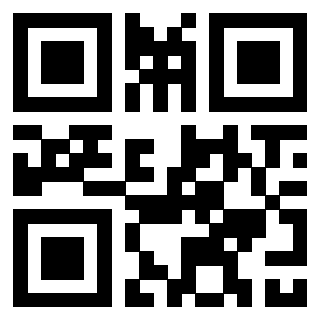 3306502313 - Immagine del QrCode