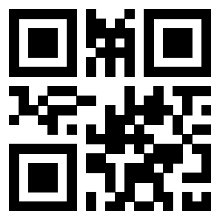 3306502493 - Immagine del QrCode