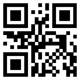 3306502728 - Immagine del QrCode