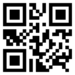 3306502740 - Immagine del QrCode