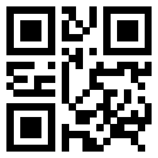 3306502895 - Immagine del Qr Code associato