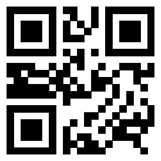 3306503080 - Immagine del QrCode