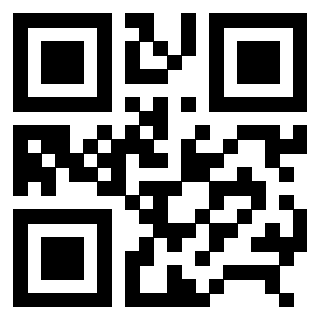 3306608091 - Immagine del QrCode