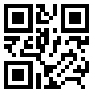 3306608160 - Immagine del QrCode
