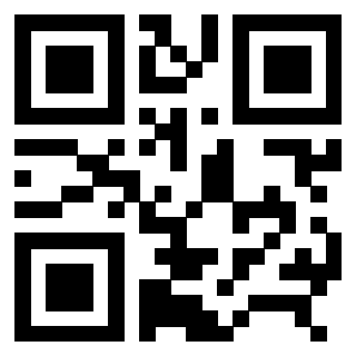 QrCode di 3306608453