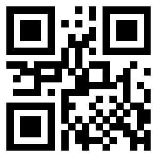 3306608544 - Immagine del QrCode associato