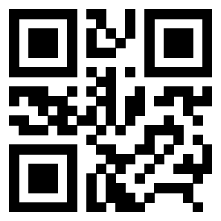 3306608704 - Immagine del QrCode