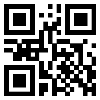 QrCode di 3306608713