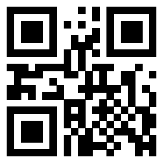3306608972 - Immagine del QrCode