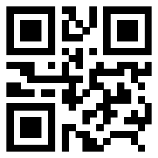 3306648895 - Immagine del Qr Code associato