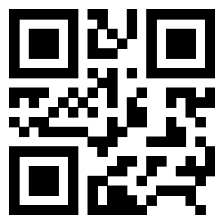 3306648933 QrCode associato