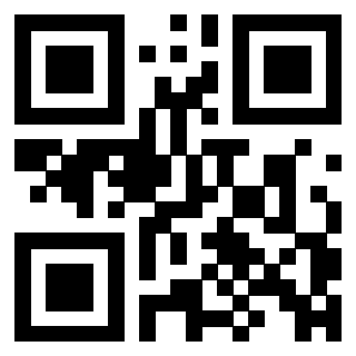 3306648993 - Immagine del QrCode