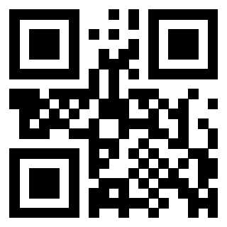 3306649040 - Immagine del QrCode