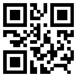 Il Qr Code di 3306653945