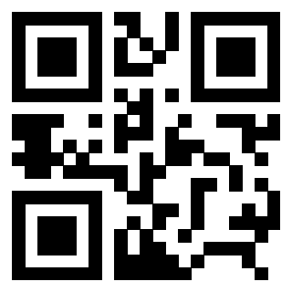 3306690317 - Immagine del QrCode