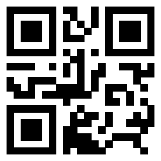 3306690433 - Immagine del QrCode