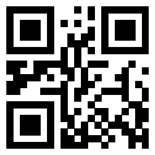 3306690465 - Immagine del QrCode
