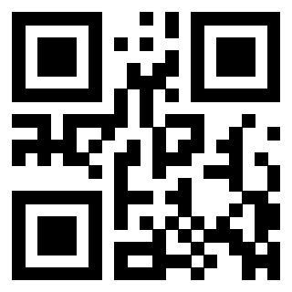 Il Qr Code di 3306690586