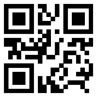 3306690691 - Immagine del Qr Code