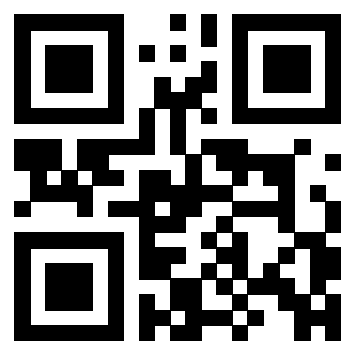 QrCode di 3306690751