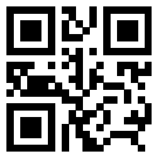 3306690991 Qr Code associato
