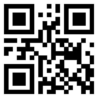 3306691047 - Immagine del QrCode