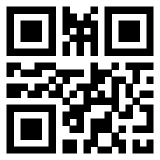 3306691091 - Immagine del Qr Code associato