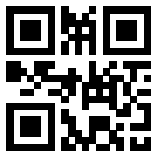 3306691120 QrCode associato