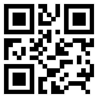 3306691228 - Immagine del QrCode